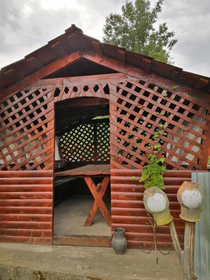 Vila У Катерини Dvozhets Exteriér fotografie
